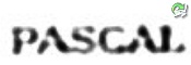 Pascal .jpg